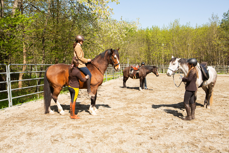 ACSI Equitazione: formazione sportiva