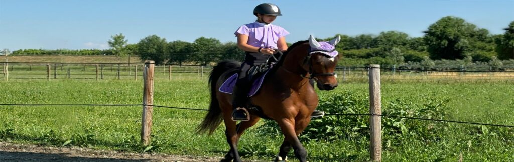 ISTRUTTORE DI EQUITAZIONE DI CAMPAGNA LIV 3